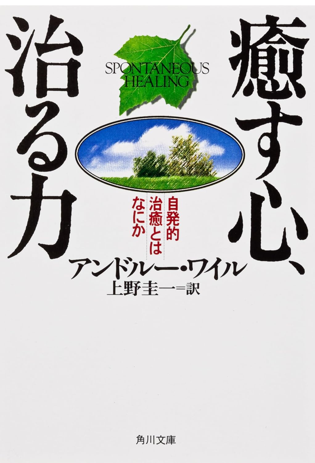 影響を受けた書籍