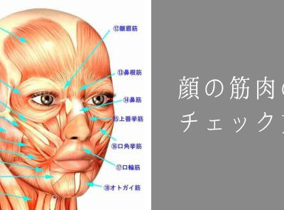 あなたの顔の筋肉の質は チェック方法をご紹介 さつま骨格矯正鍼灸整骨院